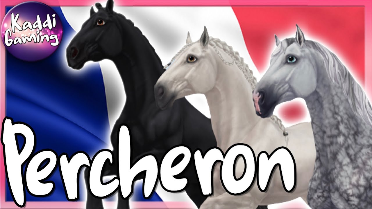 Kaltblütiger Franzose - Das Percheron PFERDEKAUF 🐴 STAR STABLE ONLINE 