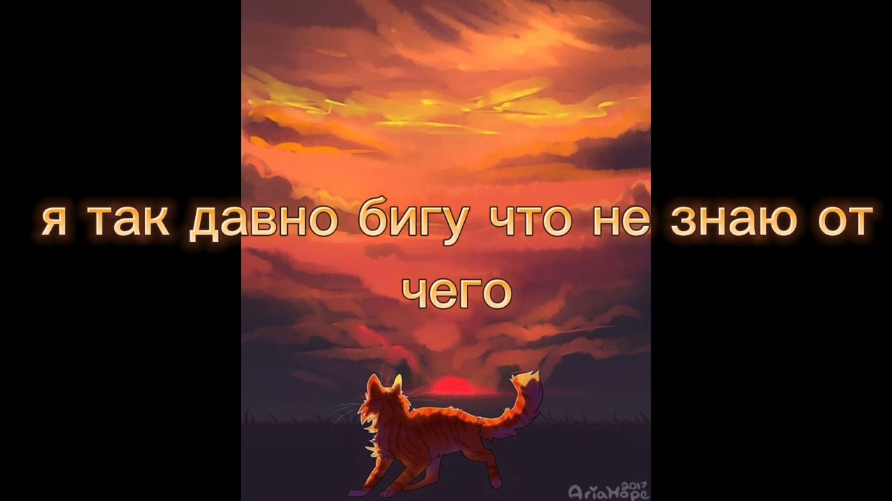 портреты + текст