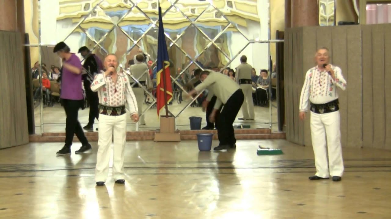 FRATII  PLOSCAR=''HAI MATEI , MATEI''