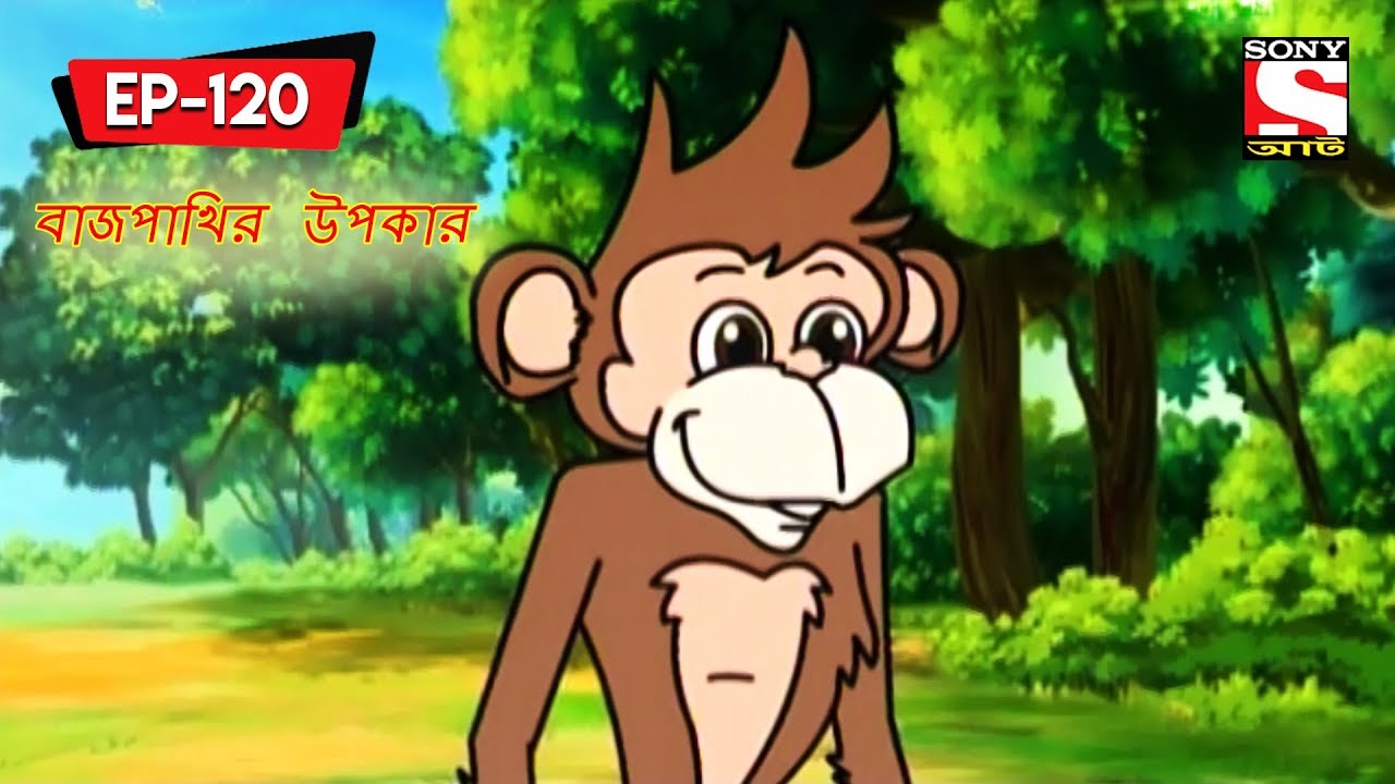 বাজপাখির উপকার | Panchotantrer Montro | Bangla Cartoon | Episode - 120