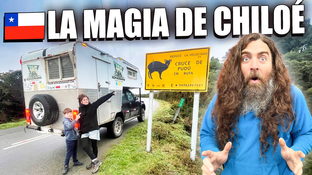 Lo encontramos... 🦌✨ El habitante más sorprendente de Chile y la MAGIA de Chiloé
