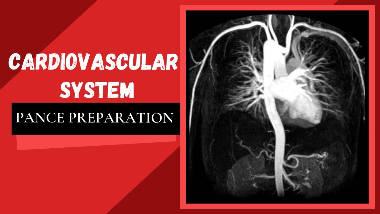 Cardiovascular System: PANCE Preparation