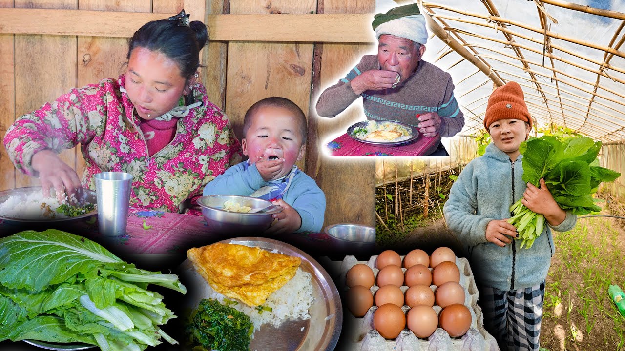 Egg Omelette & organic Mustard (RAYO) recipe with Rice cooking & eating || Nepali village Food Vlog