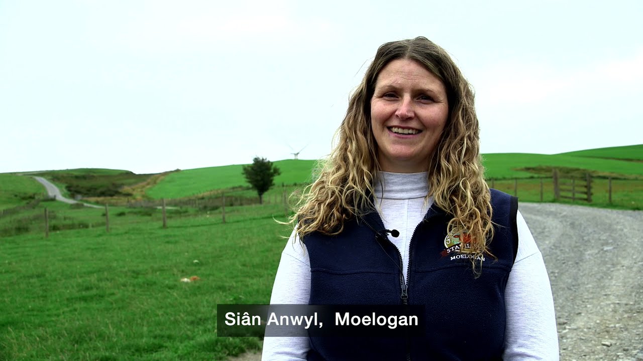 GrassCheckGB - Welsh Farmers