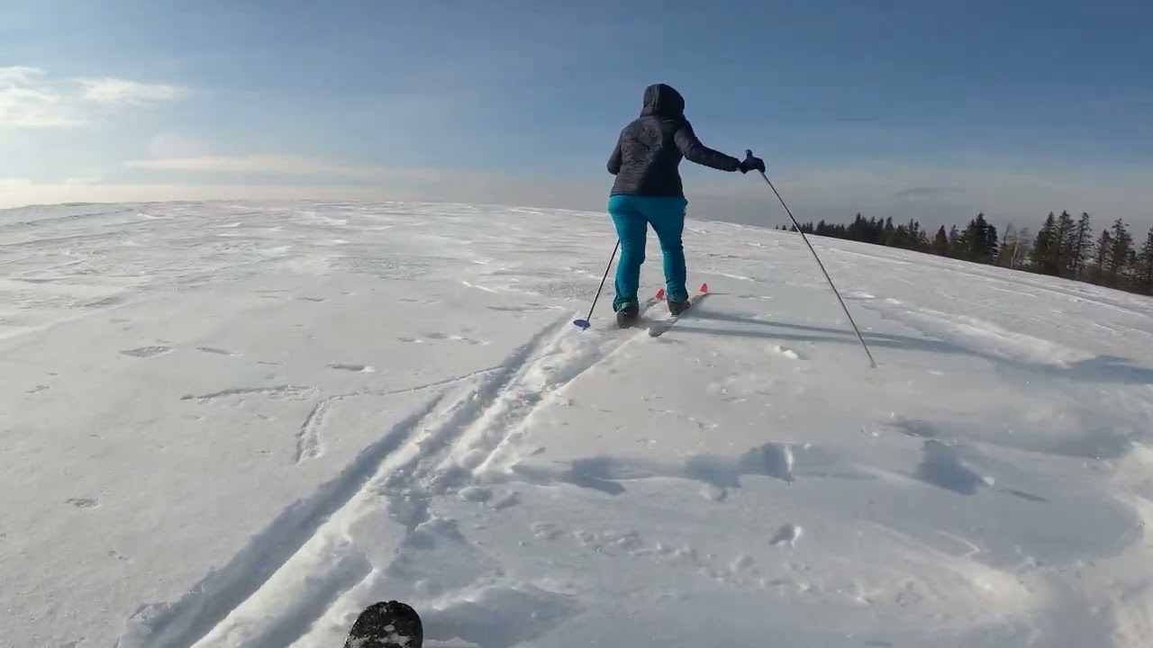 Skitura Tokarnia i Rzepedka