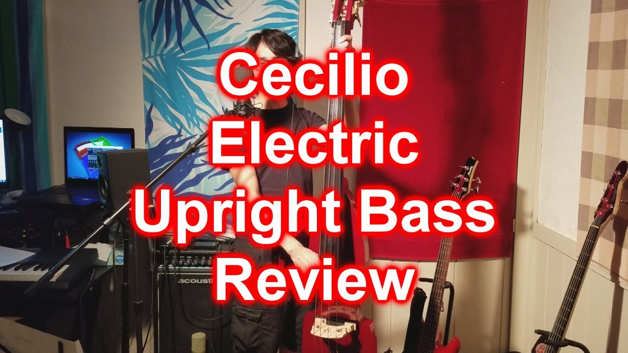 Gear Review - Cecilio Electric Upright Bass
