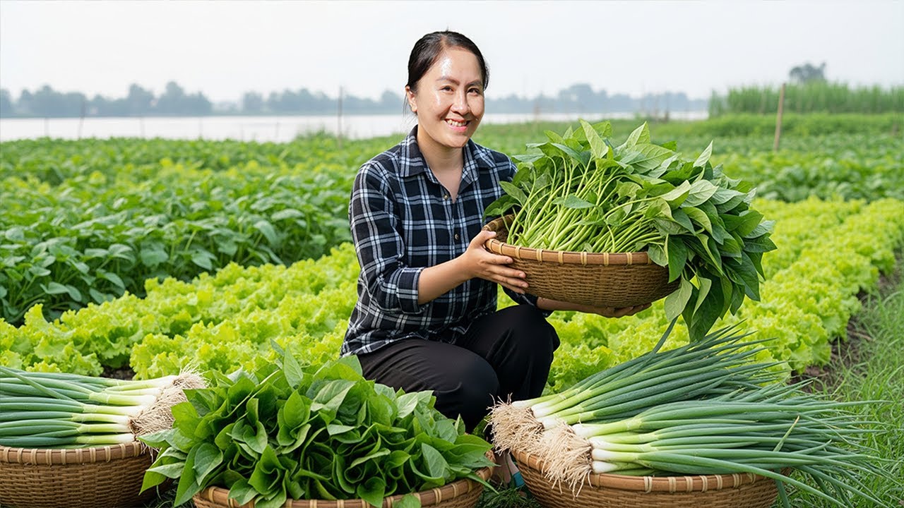 Harvested Vegetables &ndash; Discover The Pure Joy Of Rural Harvesting | Emma Daily Life