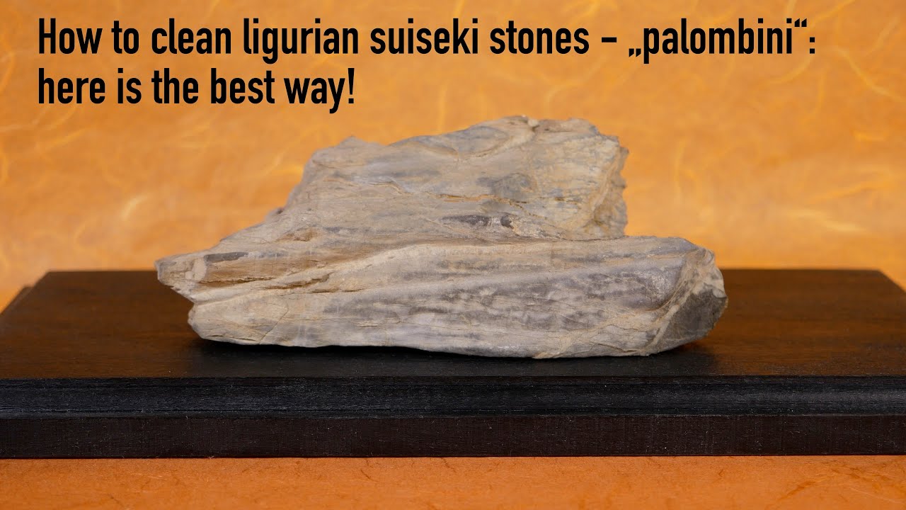 How to clean ligurian stones -the best way...