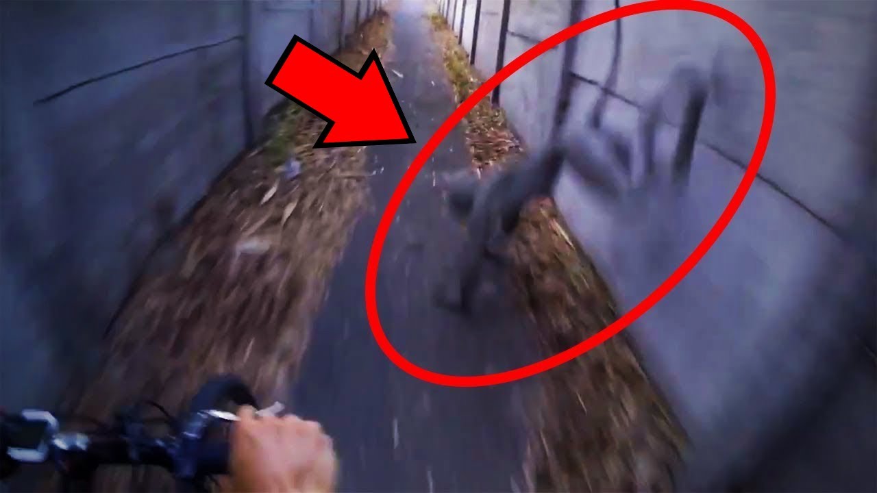 7 INCREÍBLES Momentos Captados con una Cámara GoPro
