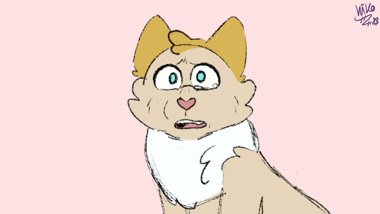 Lps drama, nothing better