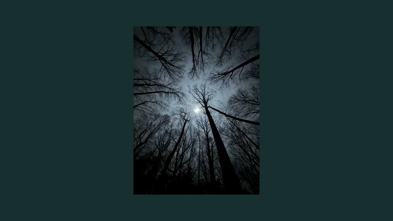 Moody Music for Looking Up / New Music Indie, Alternative, Country