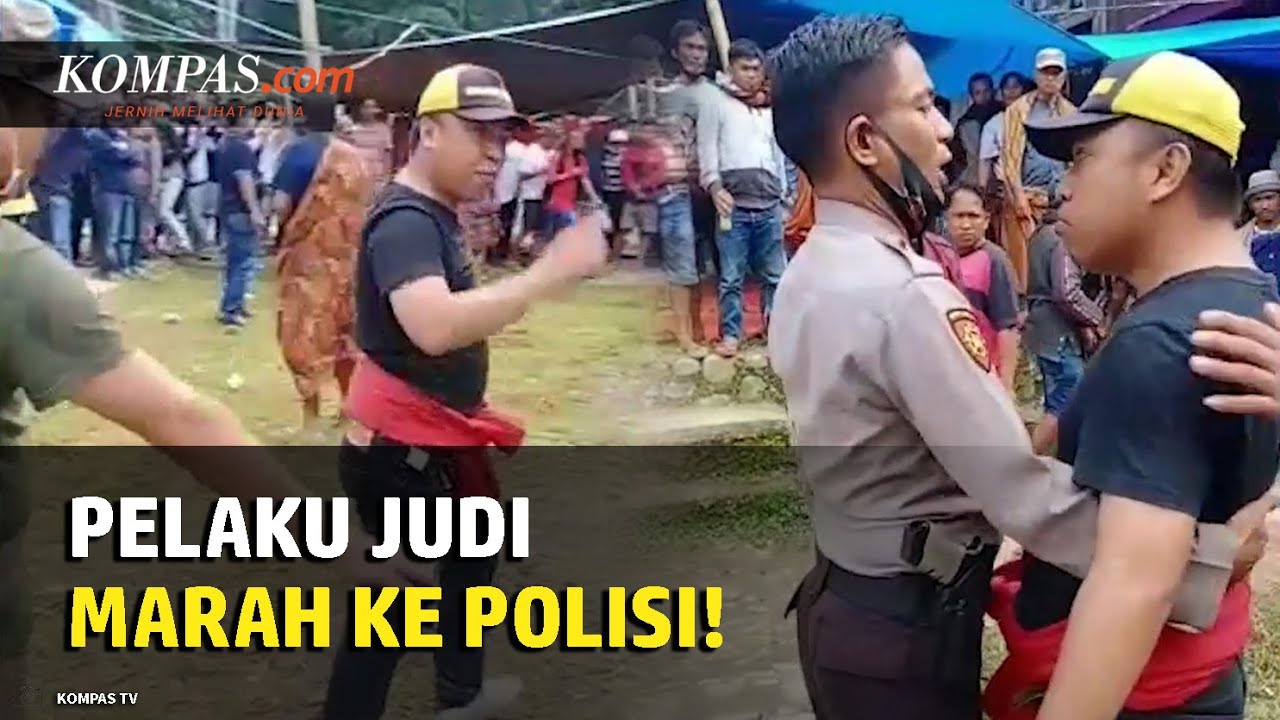 Viral, Video Pria Ancam Polisi yang Akan Bubarkan Judi Sabung Ayam