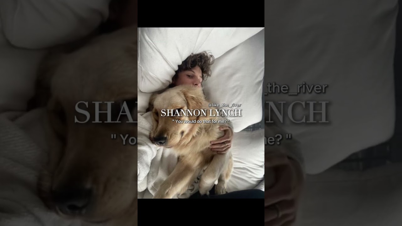 📖 - Binding 13 | Johnny Kavanagh | Shannon Lynch | #booktube #bootok  #bookbites #binding13