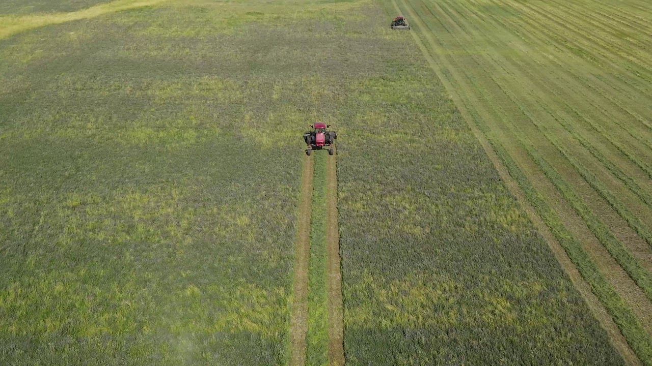 Cutting Hay with a MACDON M155