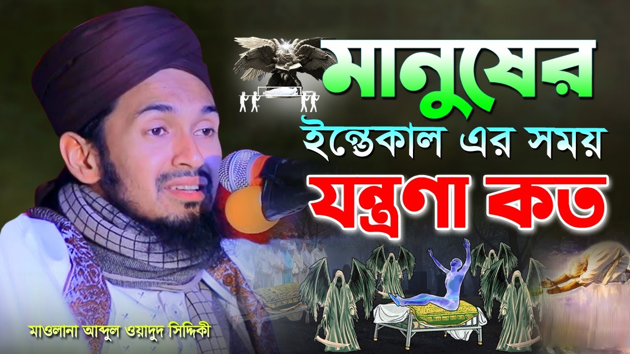 মানুষের ইন্তেকালের পরে যন্ত্রণা কত  | Abdul Wadud Siddiqi waz | আব্দুল ওয়াদুদ সিদ্দিকী