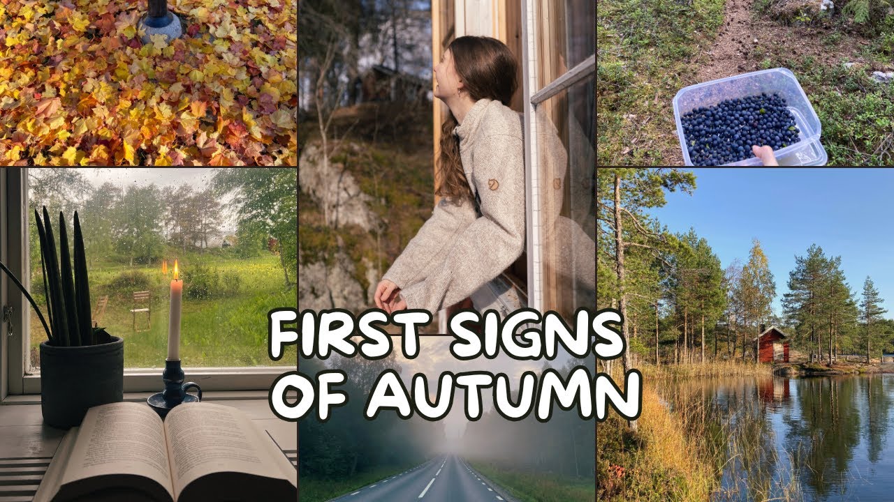 The First Hints of Autumn in the Swedish Countryside 🍂