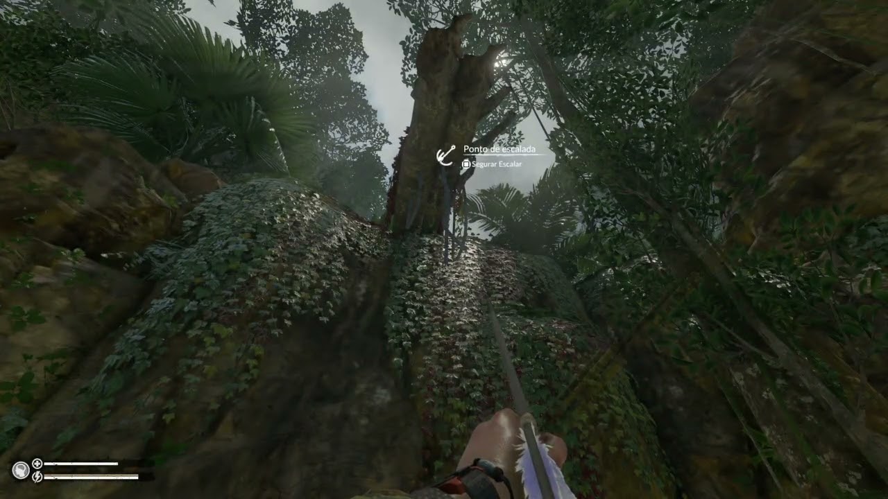 Green Hell gameplay de base a base
