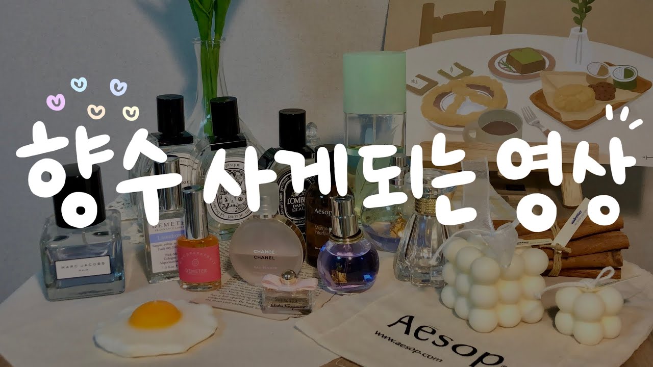 뒤돌아보게 만드는 향수들🙊💛 속닥속닥 향수 소개 영상🦄 💜 쵸큼 ASMR