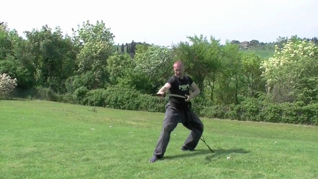 Bujinkan Dojo Italy - Shidoshi Francesco Buffini