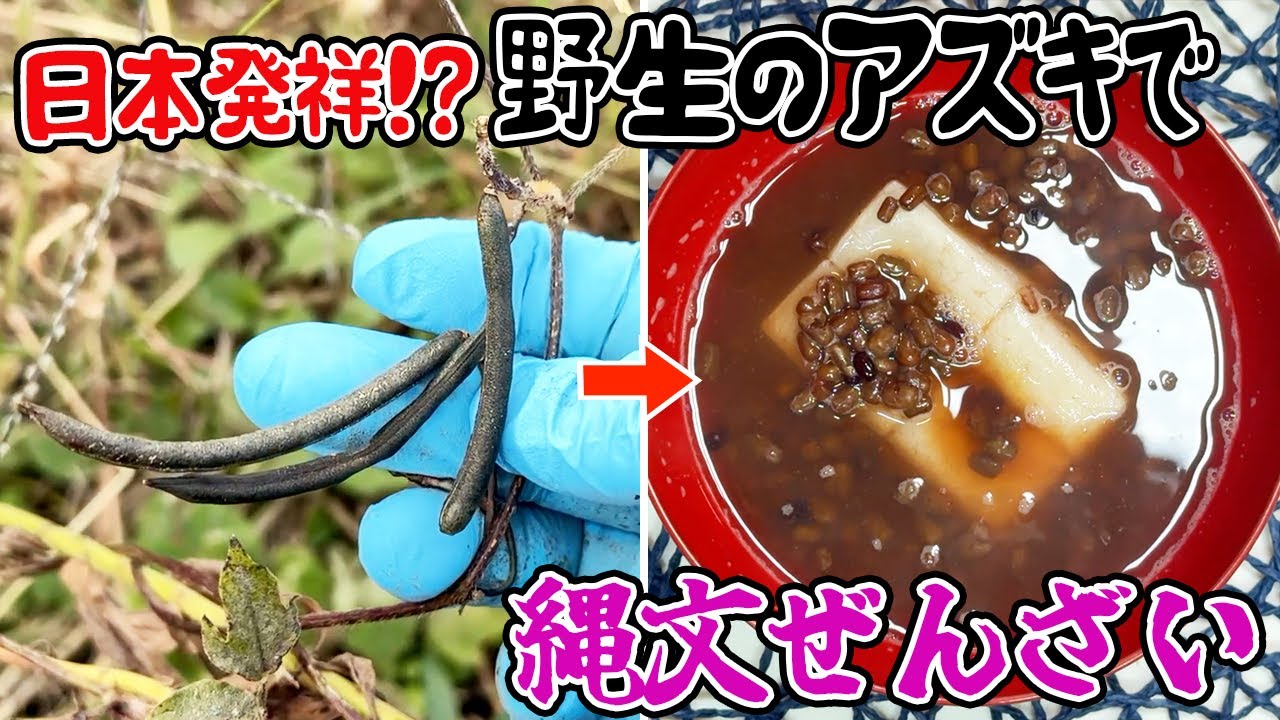 野生のアズキでぜんざいを作ると最高