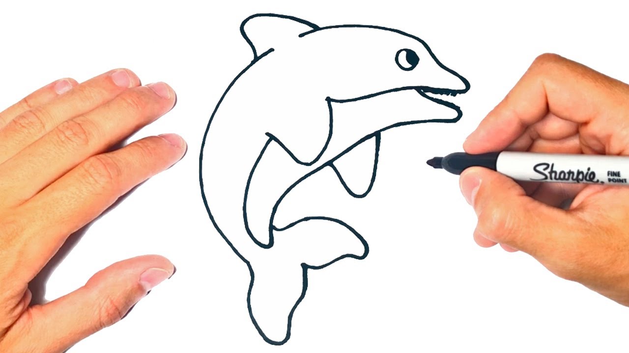 COMO DIBUJAR un DELFÍN Paso a Paso y fácil