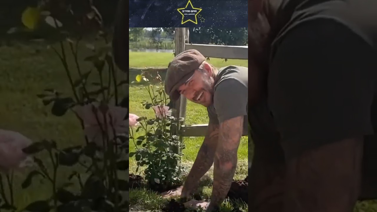 Дэвид Бекхэм ПОХВАСТАЛСЯ урожаем