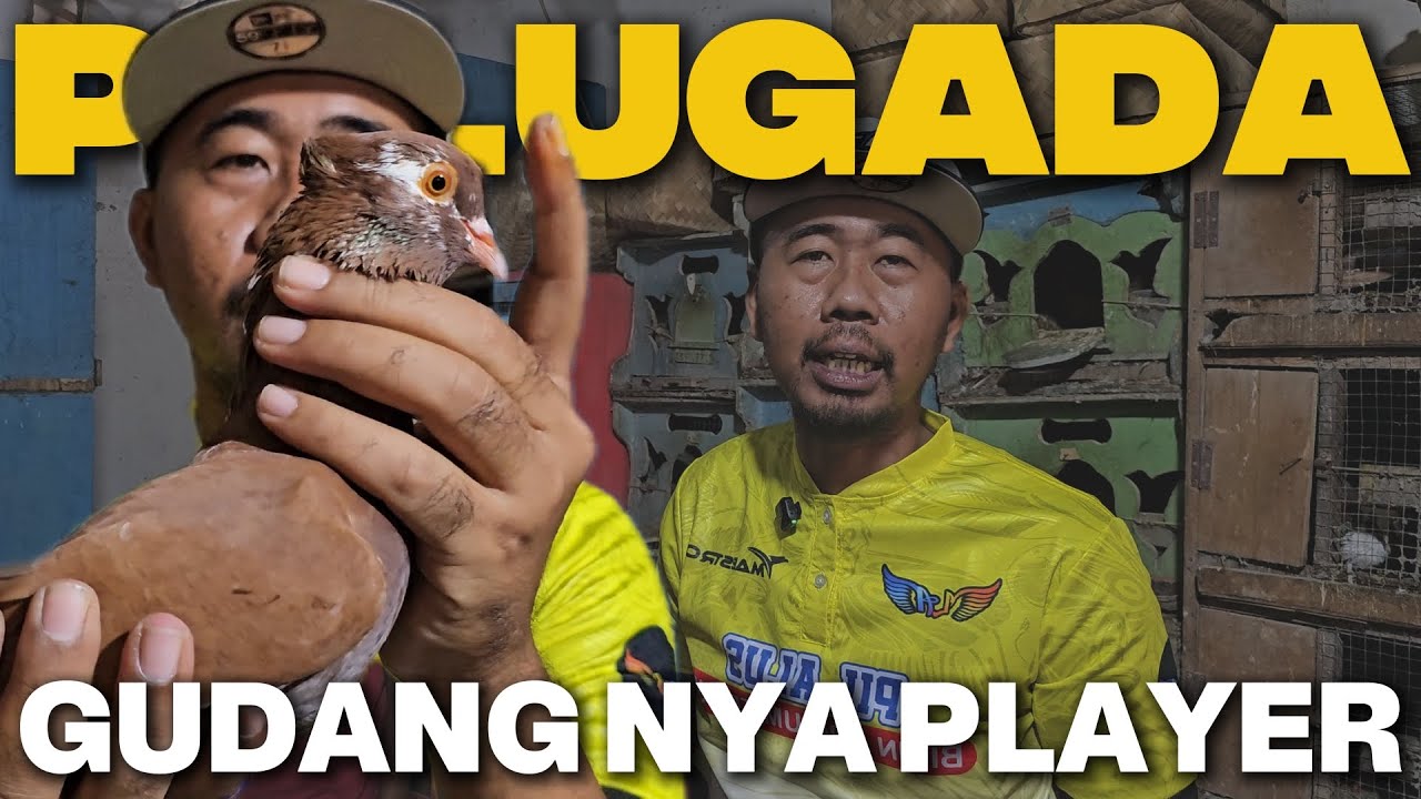 BONGKAR BESEK RAHASIA DI GUDANG MERPATI!!! ISI NYA PLAYER SEMUA