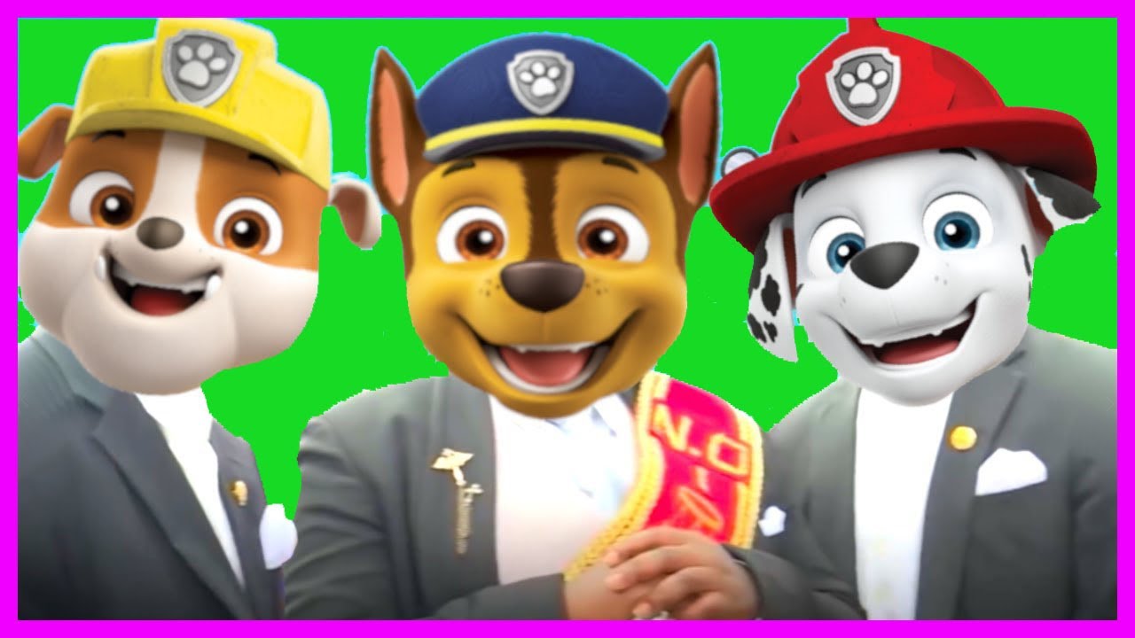 Paw Patrol, Patrulha Canina - Coffin Dance Meme Song Pups Cover