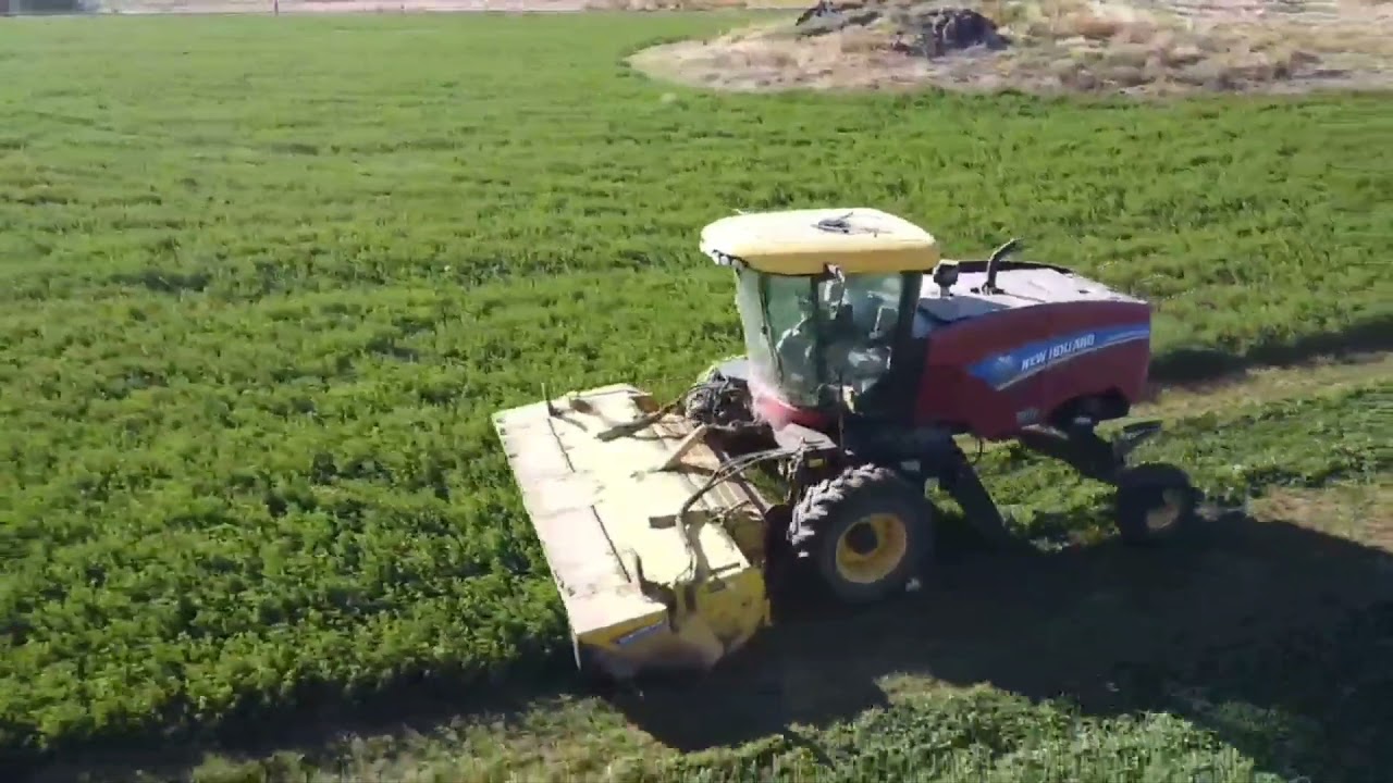 Swathing hay from the drone.