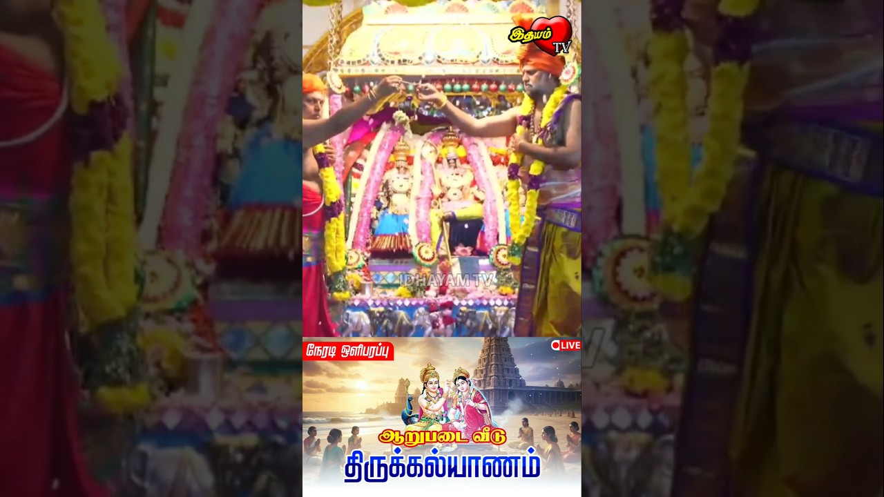 மருதமலை முருகன் திருக்கல்யாணம்! கல்யாண கோலத்தில் அற்புதம்! #murugan #thirukalyanam #marudhamalai