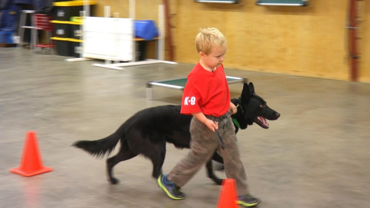 Kids & Protection Dogs 