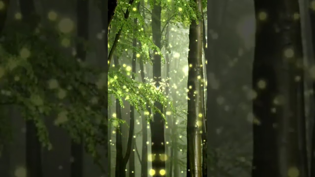 Improves Concentration Relaxing Sounds #m&uacute;sicaparameditar