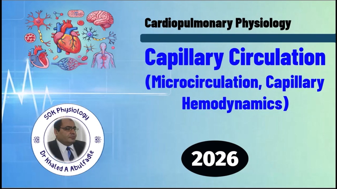 Capillary Circulation (Microcirculation, Capillary Hemodynamics) (3-2026) by Dr Khaled A Abulfadle