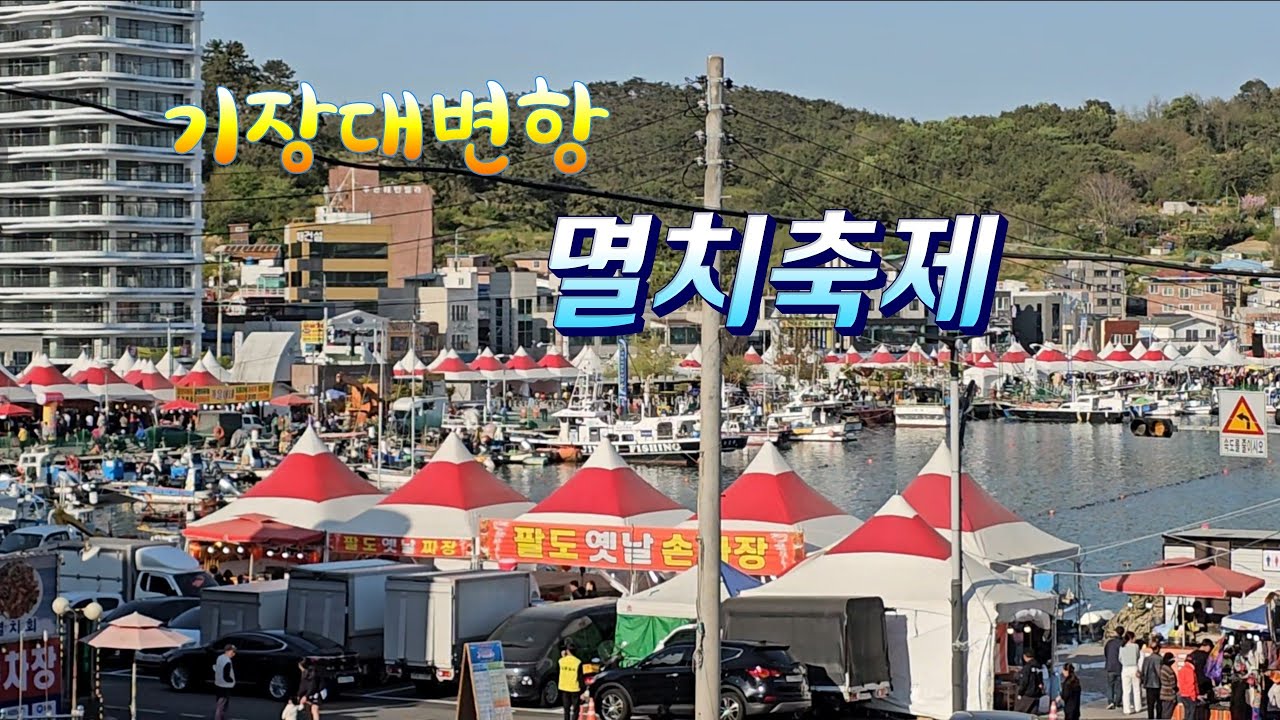 부산 기장 대변항 멸치축제 스케치 ,