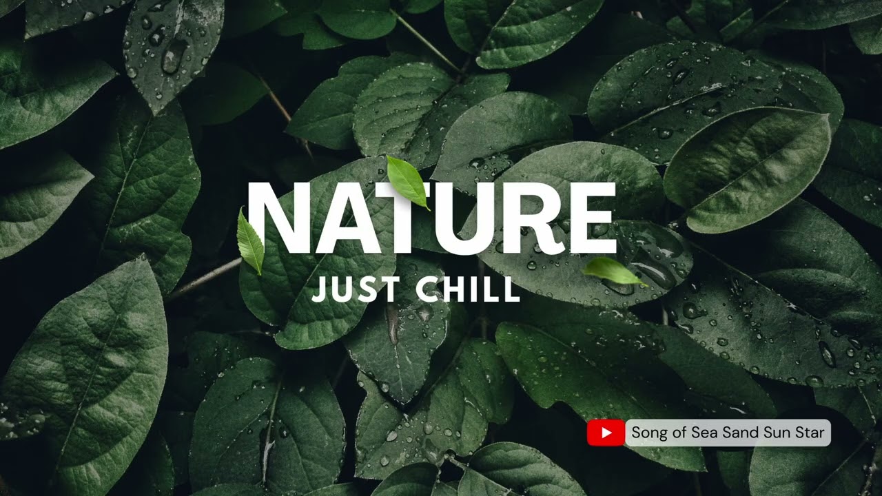 After the Rain • 35 bpm Forest Soundscape | ความสดชื่น หลังฝนพรำ