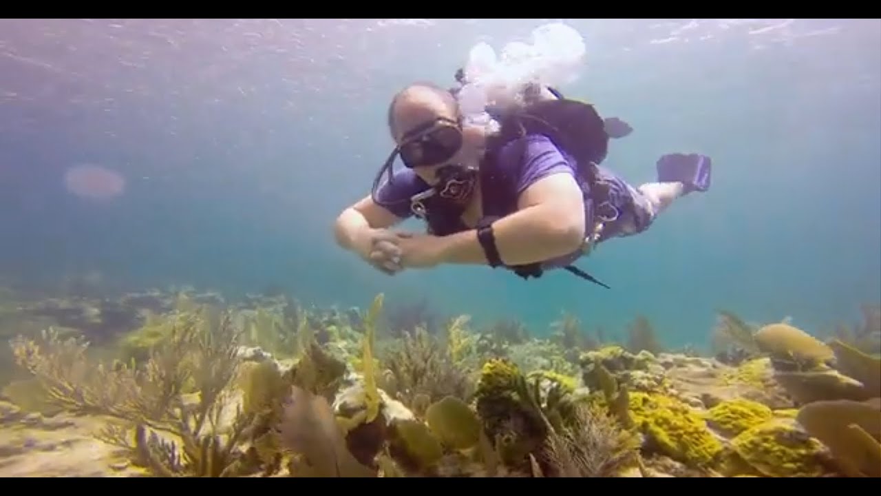 DESTINATION DIVE EP2501 KEY LARGO