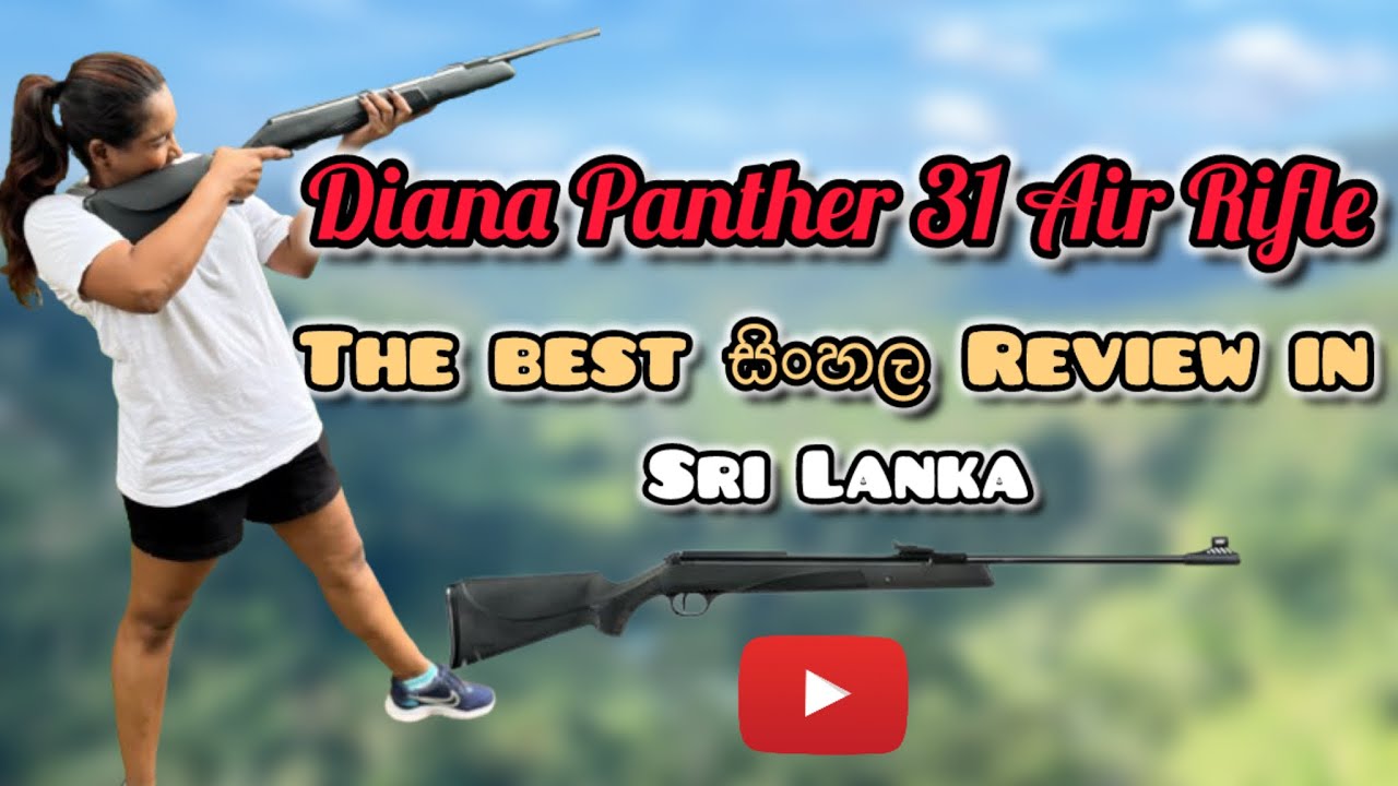 Diana Panther 31 Air Rifle full review | in සිංහල | Power, Accuracy & Build Quality @ShootWithShiny 