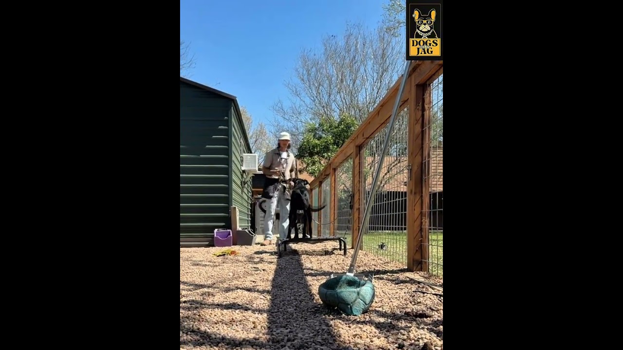 Bonnie (Adoption Video) with Forgotten Friends
