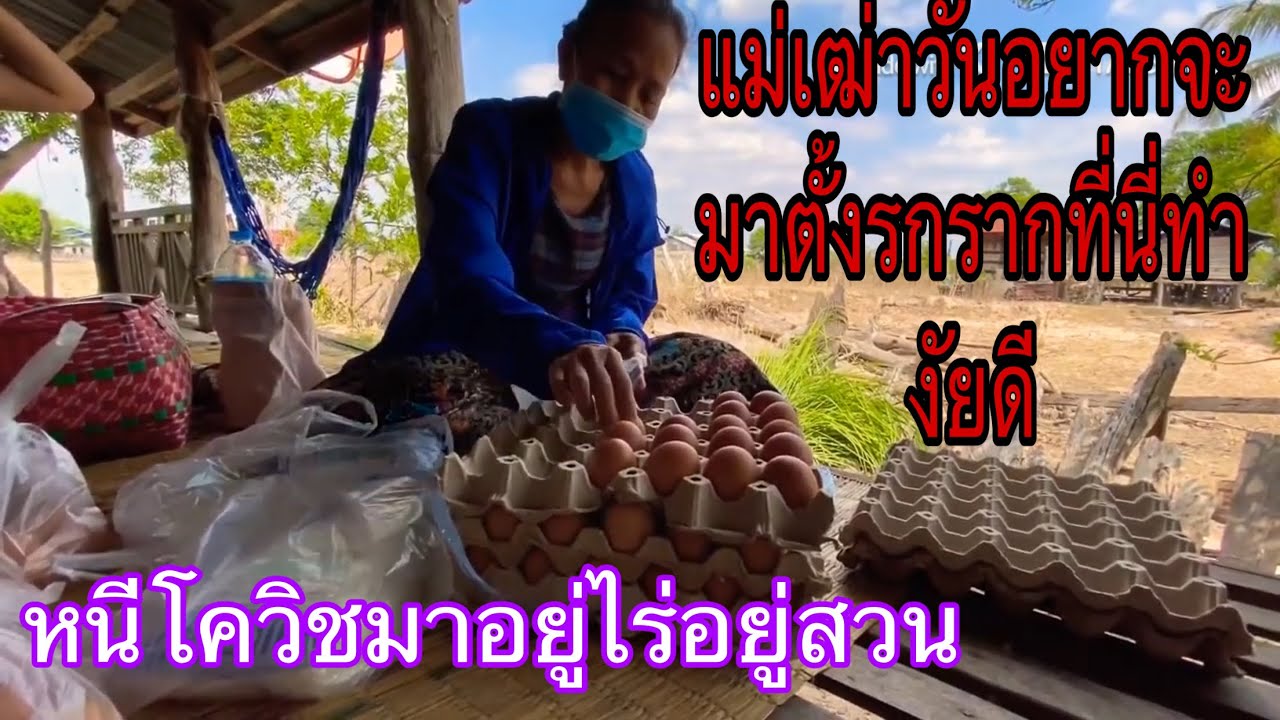 ໜີໂຄວິດ-19ໄປຢູ່ໄຮ່ຢູ່ນາ//หนีโควิด-19 ไปอยู่ไล่อยู่สวน