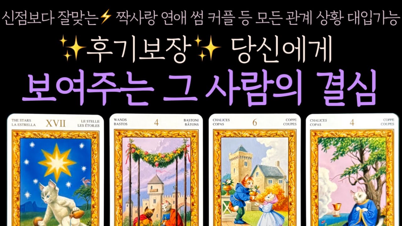 [타로] ✨후기보장✨ 당신에게 보여주는 그 사람의 결심 (연애타로, 타로 연애)