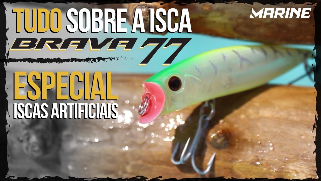 BRAVA 77 (ISCA QUE NÃO PODE FALTAR NUNCA)