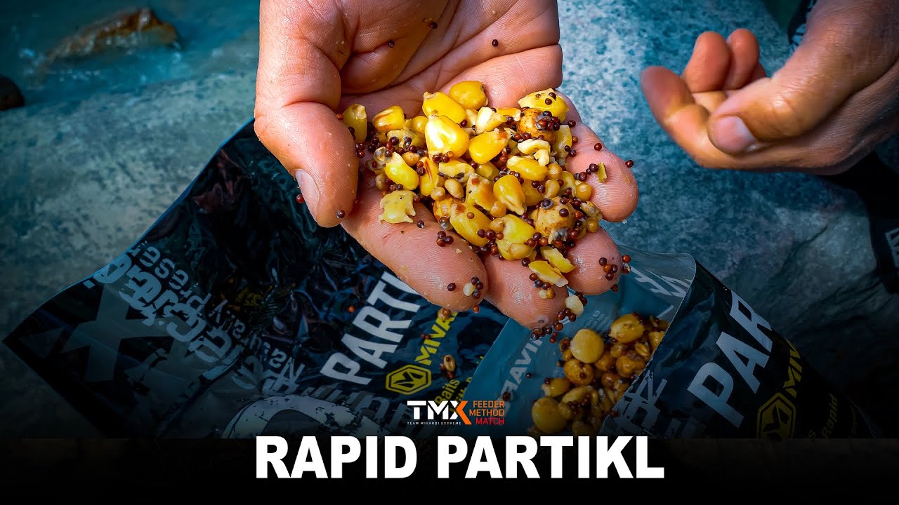 Rapid Partikl