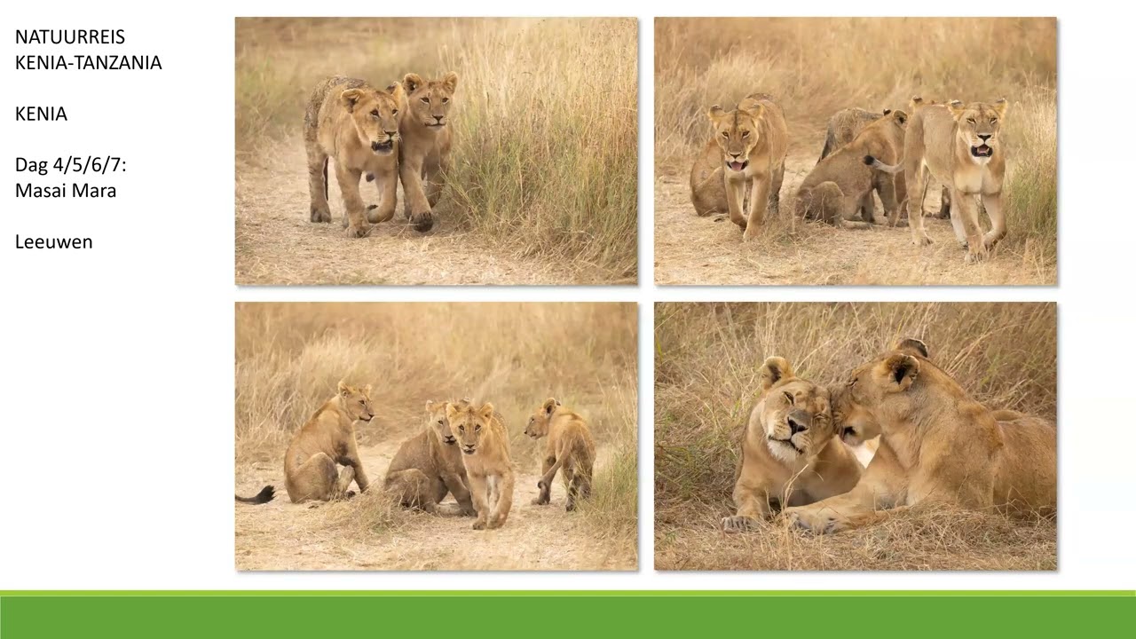 Presentatie Natuurreis Kenia-Tanzania 2026/2027