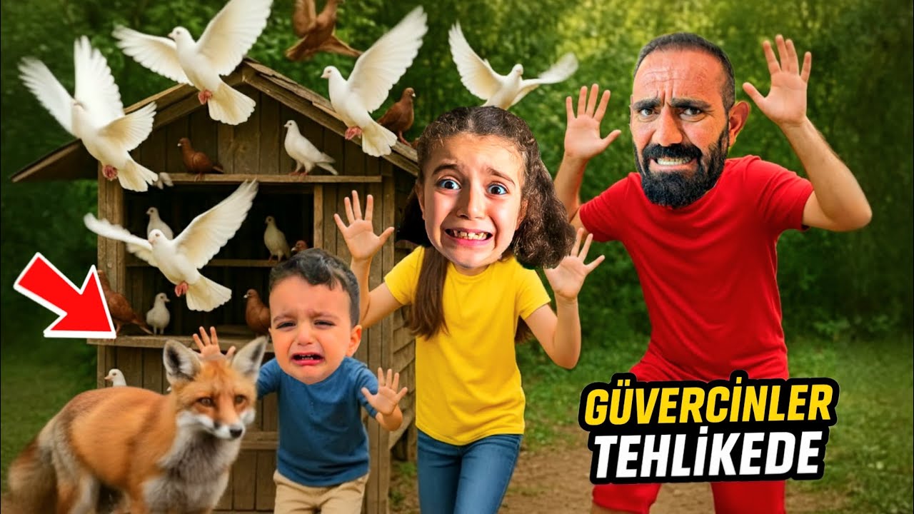 POYRAZ ELİF KUZENLERİN GÜVERCİNLERİNE TİLKİ SALDIRDI EYVAH!!!