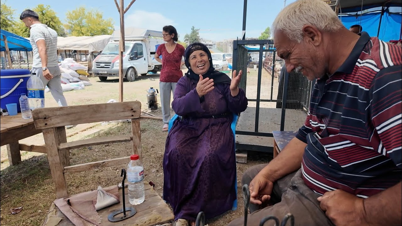 Damdan dama, bana yazık değilmi?  Nesrin BAYRAM