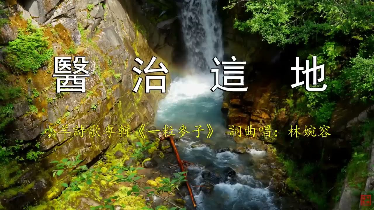 醫治這地 | F小調 | 106bpm | 小羊詩歌《一粒麥子》專輯