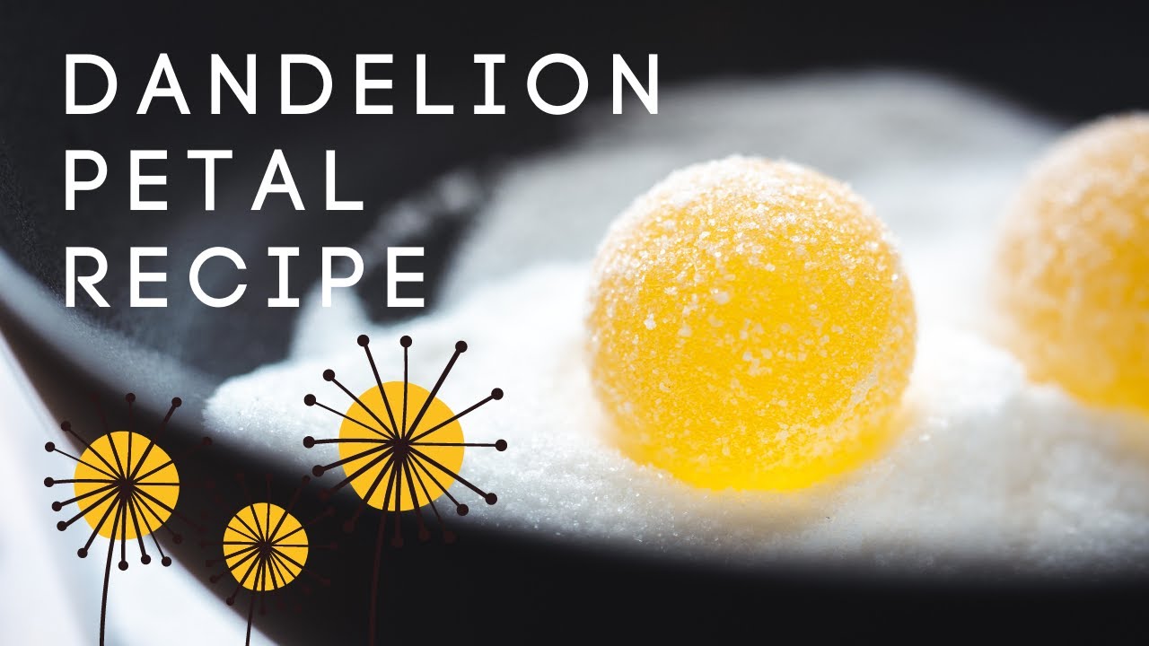 Dandelion Fruit Pastilles Recipe