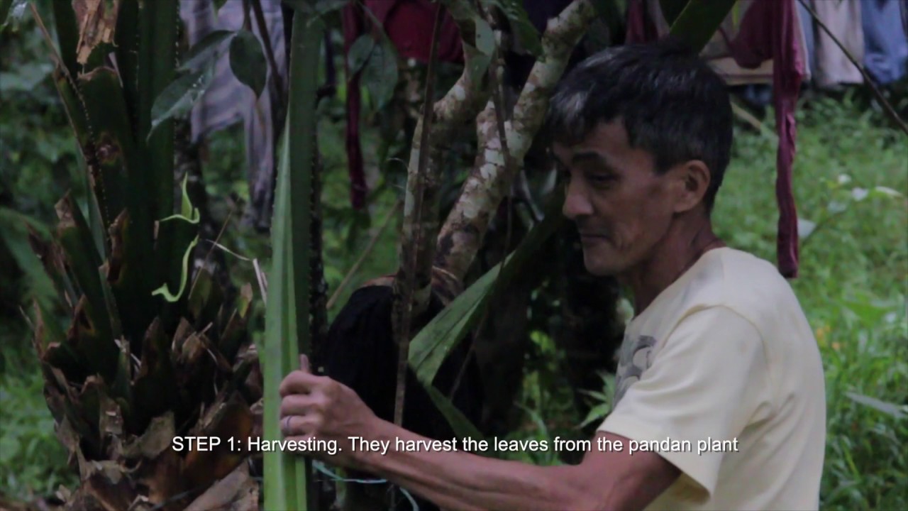 Process of Pandan Weaving iteration4