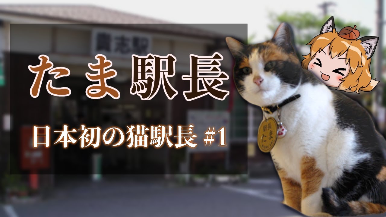 【ゆっくり解説】「たま駅長」日本初の猫駅長の物語 #1 ~三毛猫出発~