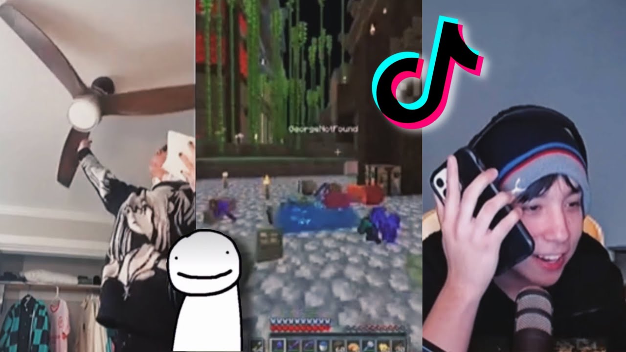 DREAM SMP Tiktoks that can be your VALENTINE this year 😉 || MCYT TikTok Compilation #22